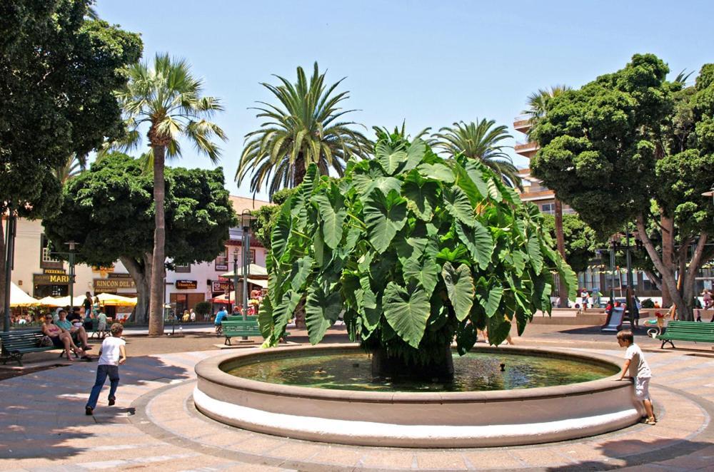 Heaven In Canary Islands 88 Apartment Puerto de la Cruz  Exterior photo